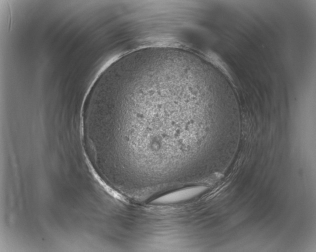 X0000067531095200604150219