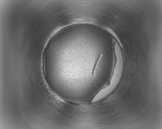 X0000067531096200604150219