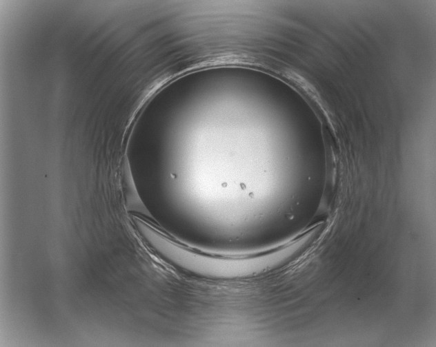 X0000067531097200604150219