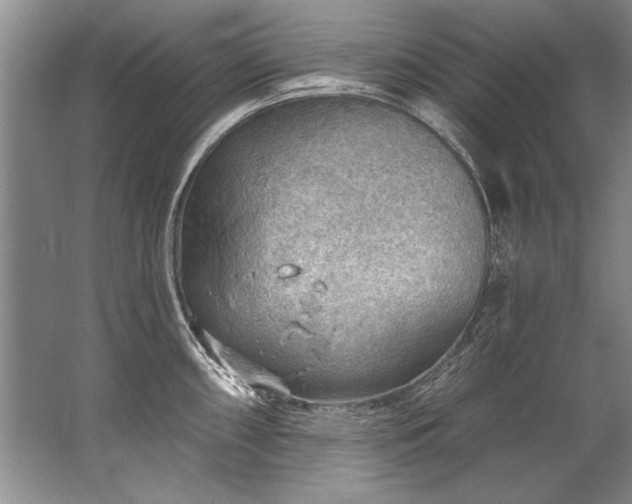 X0000067531098200604150219