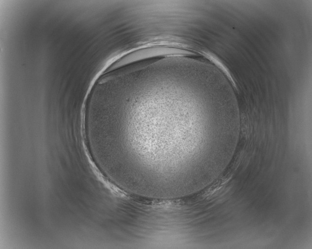 X0000067531099200604150219