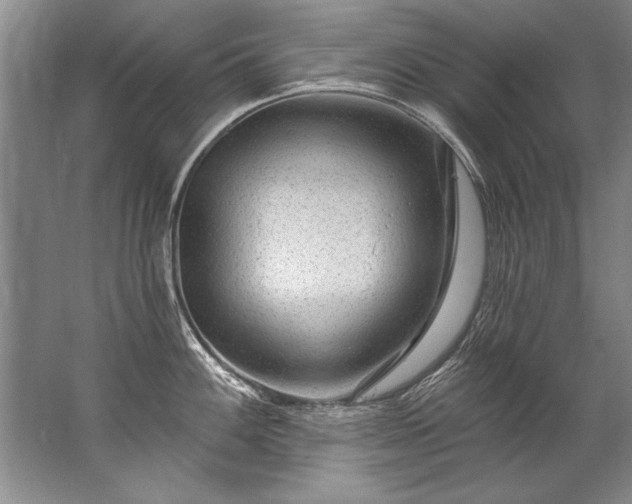 X0000067531100200604150219