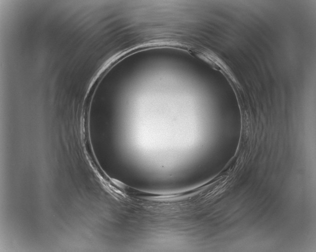 X0000067531101200604150219