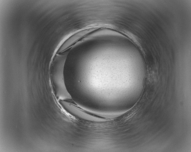 X0000067531102200604150219