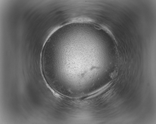 X0000067531103200604150219