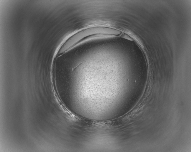 X0000067531104200604150219