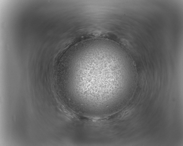 X0000067531105200604150218