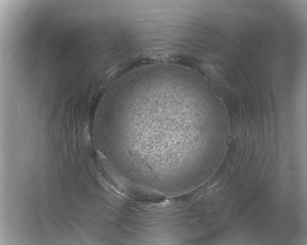 X0000067531106200604150218