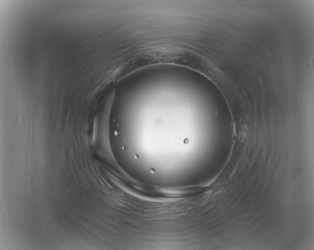 X0000067531108200604150218