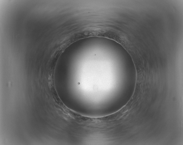 X0000067531109200604150218