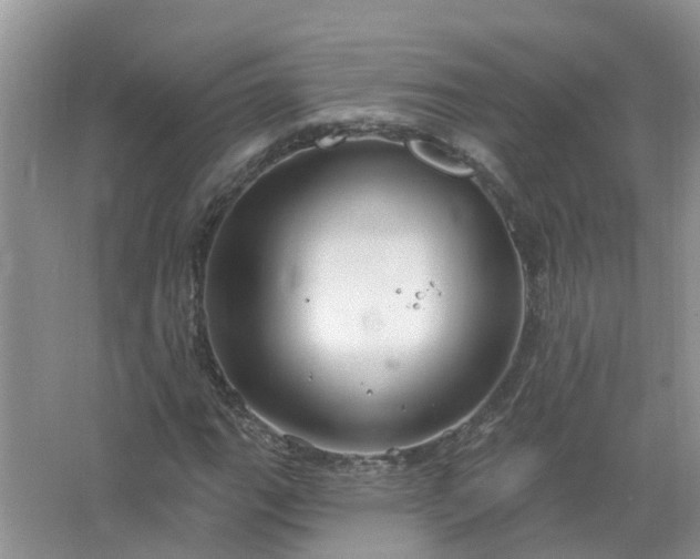 X0000067531111200604150218