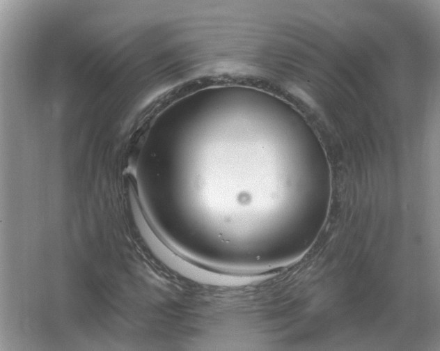 X0000067531112200604150218