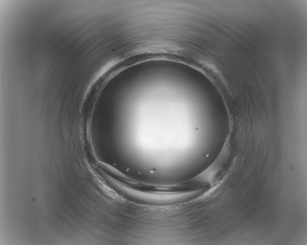 X0000067531114200604150218