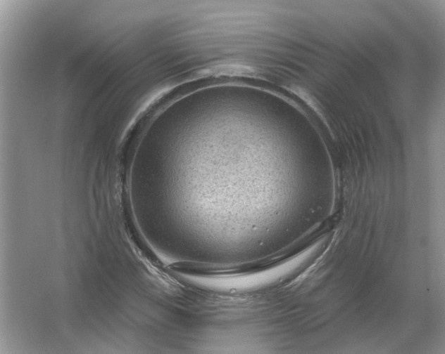 X0000067531115200604150218