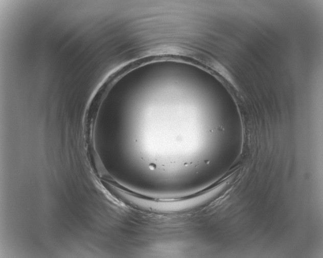 X0000067531116200604150218