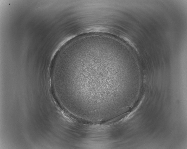 X0000067531117200604150218