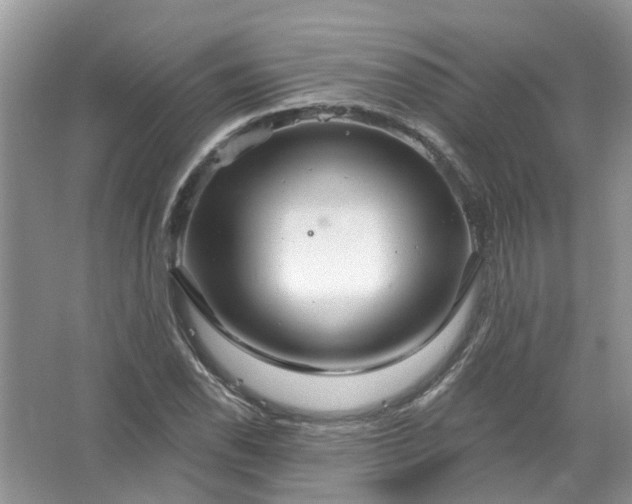 X0000067531118200604150218