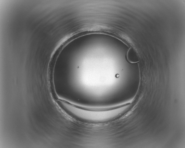 X0000067531122200604150218