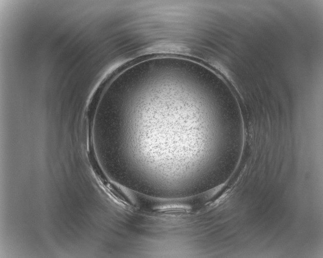 X0000067531123200604150218