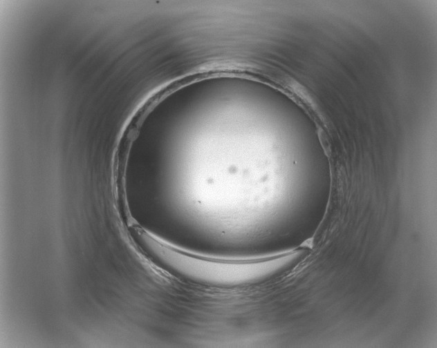 X0000067531124200604150218