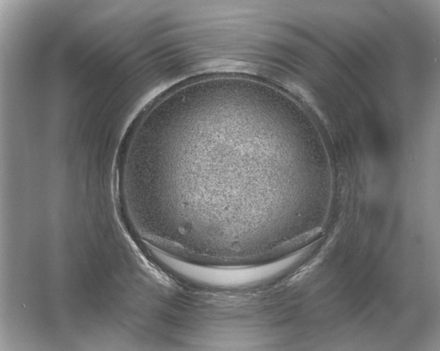 X0000067531125200604150218