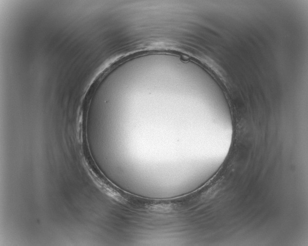 X0000067531126200604150218