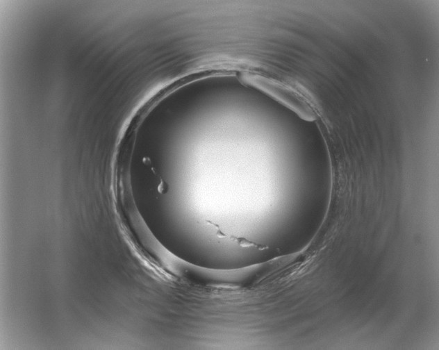 X0000067531128200604150218