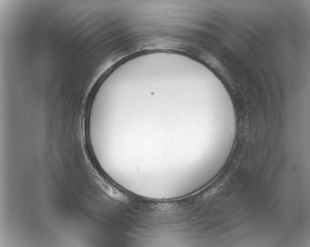 X0000067531130200604150219