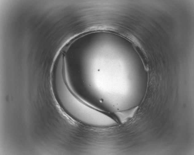 X0000067531132200604150219