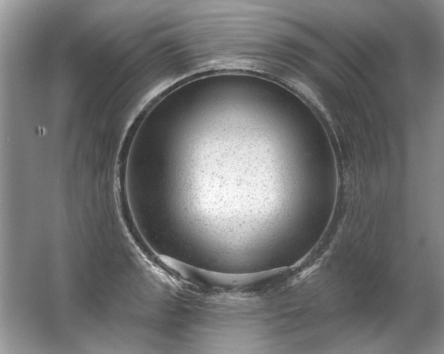 X0000067531133200604150219