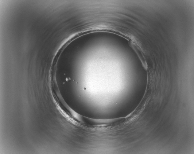 X0000067531134200604150219