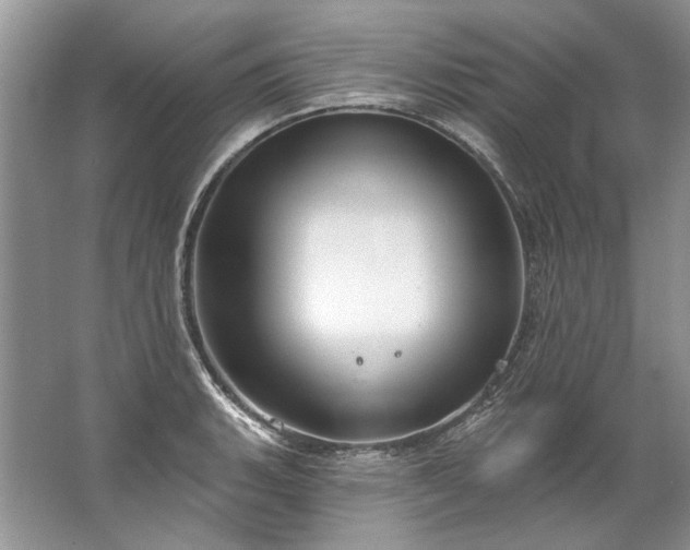 X0000067531135200604150219