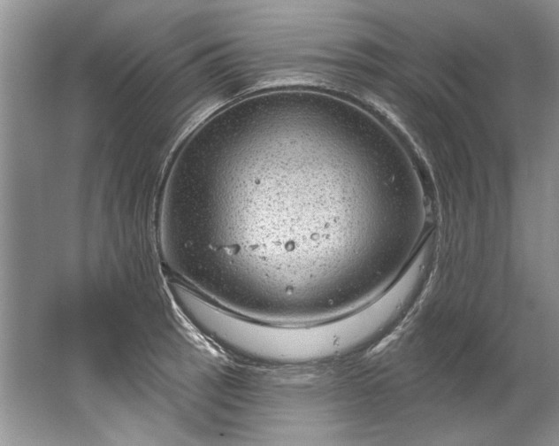 X0000067531137200604150219