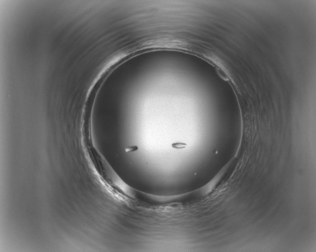 X0000067531139200604150219