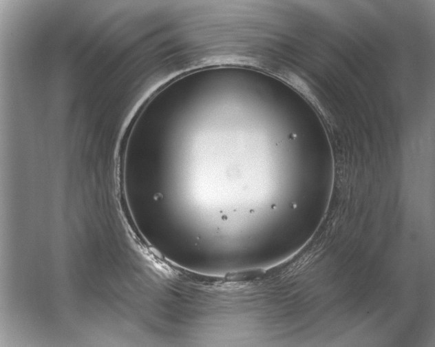 X0000067531140200604150219