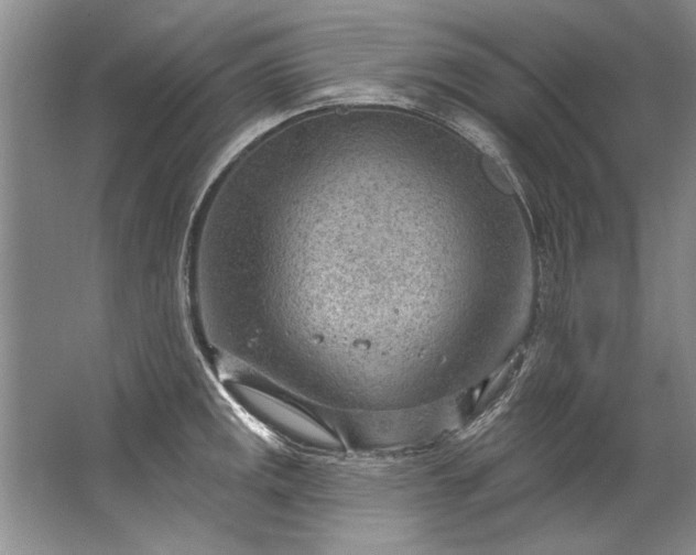 X0000067531141200604150219