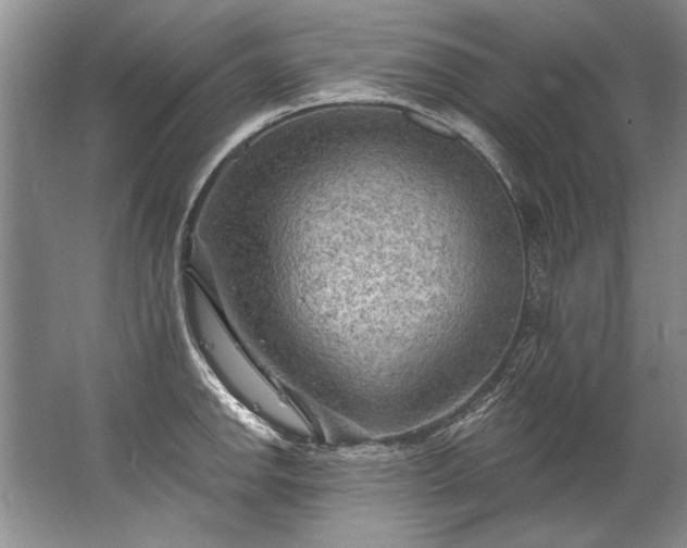 X0000067531142200604150219