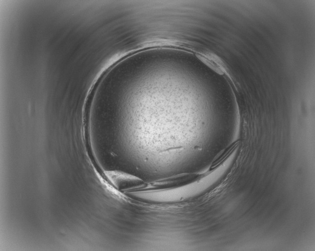 X0000067531143200604150219