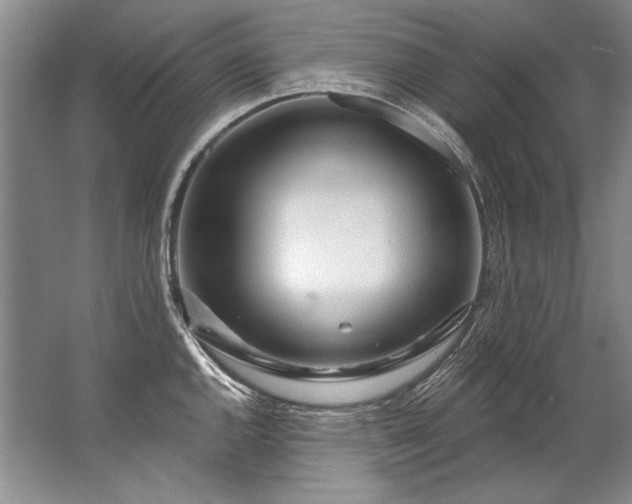 X0000067531144200604150219