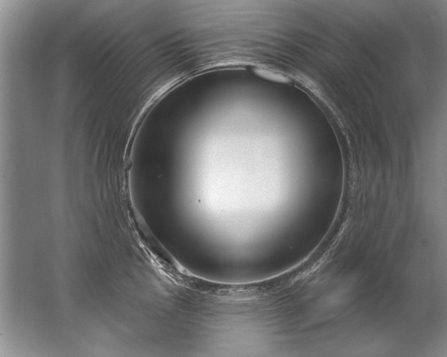 X0000067531145200604150219