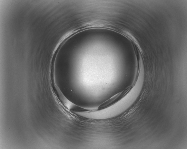 X0000067531146200604150219