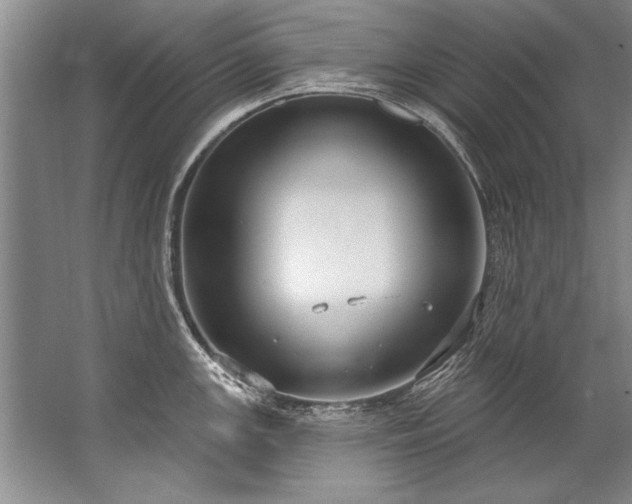 X0000067531147200604150219