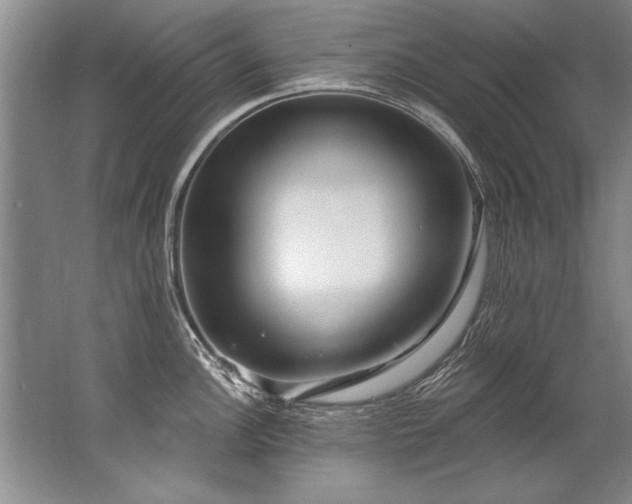 X0000067531148200604150219