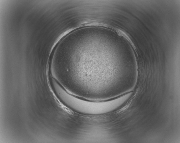 X0000067531149200604150219