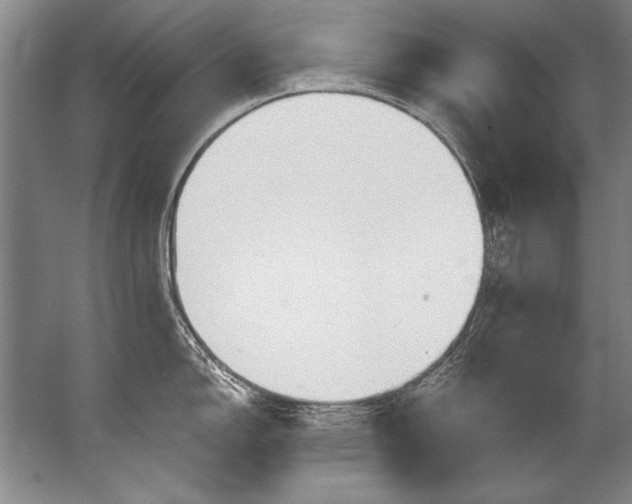 X0000067531150200604150219