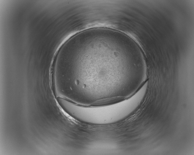 X0000067531151200604150219