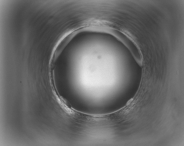 X0000067531152200604150219