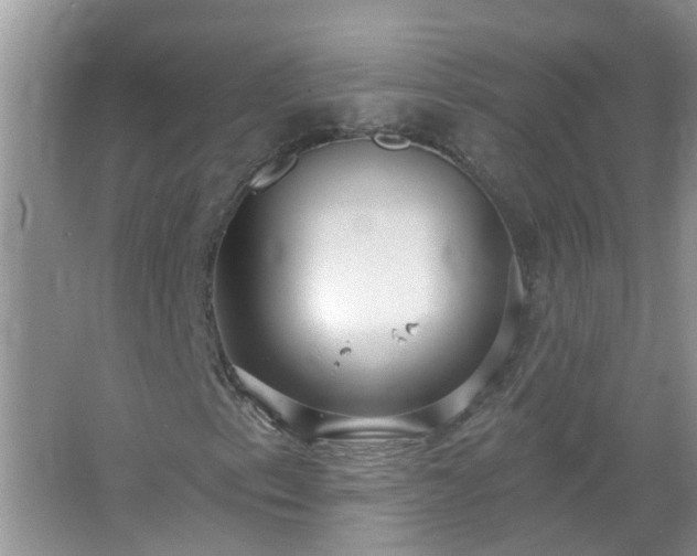 X0000067531153200604150218