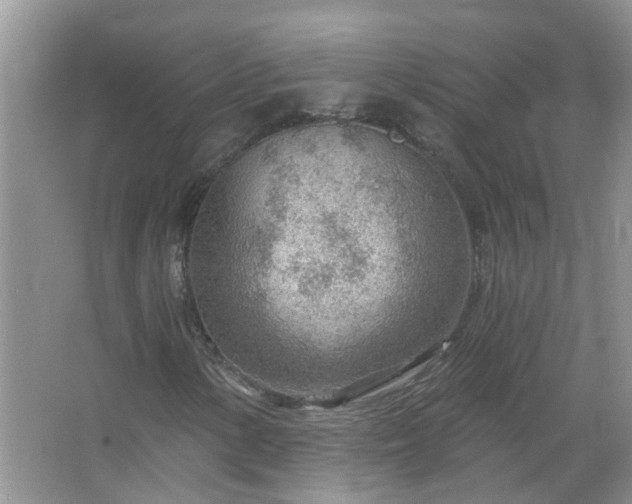 X0000067531154200604150218