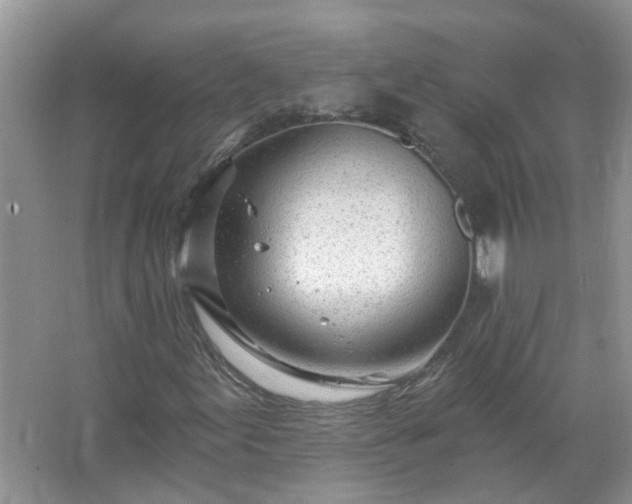 X0000067531155200604150218